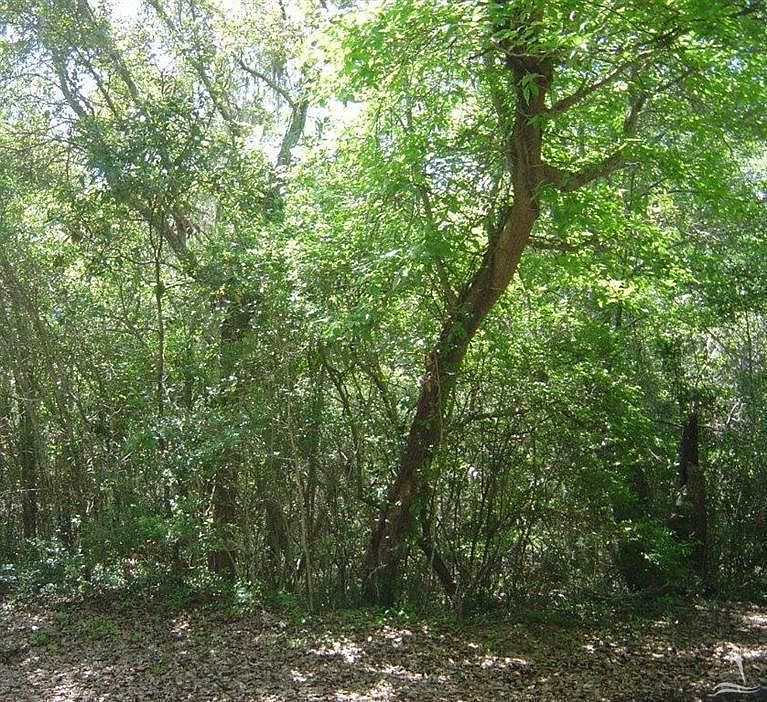 1st image of 8 Col William Rhett Trail LOT 8