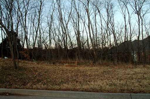 3rd image of 6 Outabounds Dr Lot 6