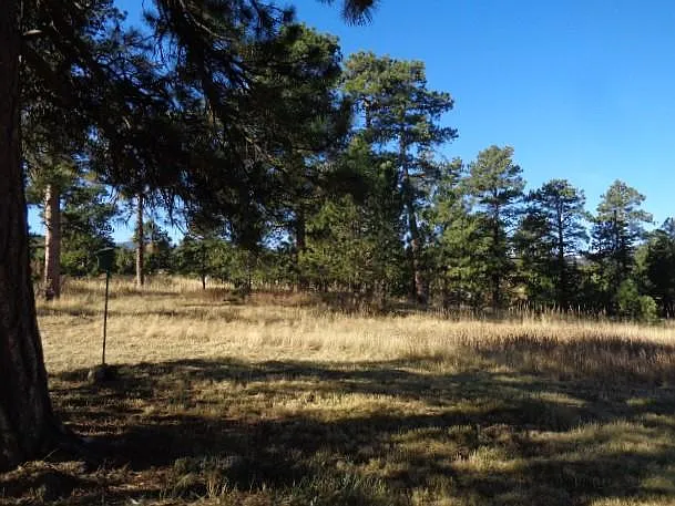 6010 Highway 73 — Photo 13