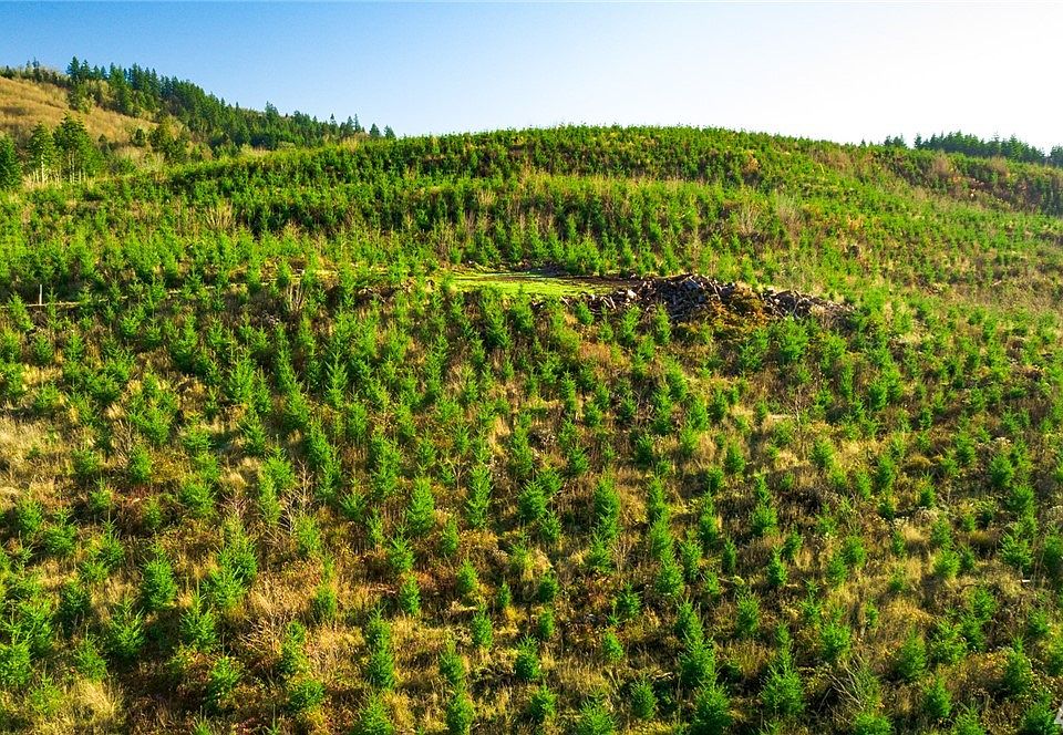 0 Young Rd, Rose Valley, WA 98626 Zillow