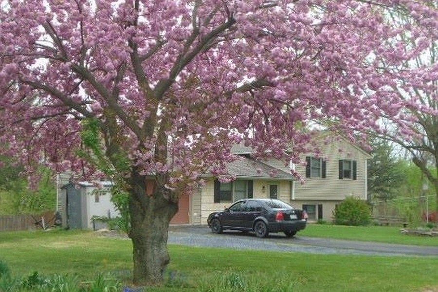 2nd image of 1586 Loop Rd