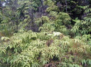 LOT 13 Lot 13, Volcano, HI 96785