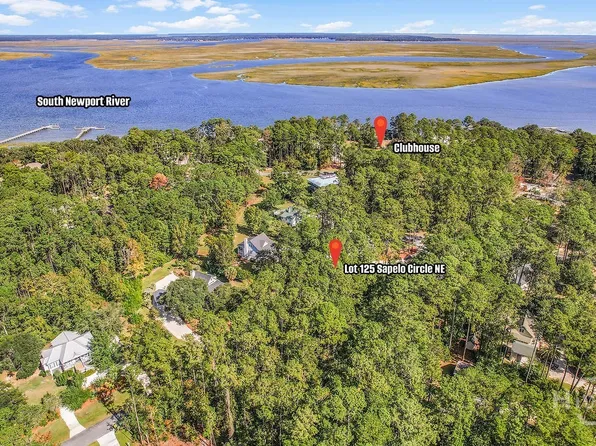 Lot 125 Sapelo Circle NE, Townsend, GA 31331