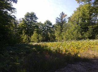 Adams Rd, Indian River, MI 49749