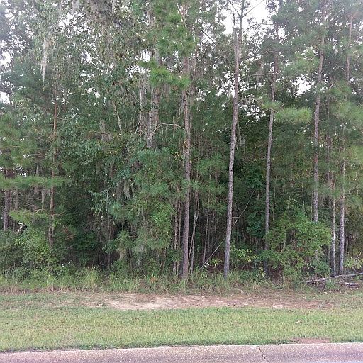 Lot 10, Block AP
