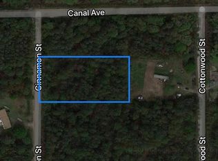 1049 Cinnamon St, Bunnell, FL 32110