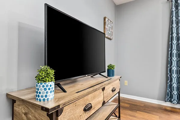 2 bed, 1004 sqft, $1,799 — Photo 4