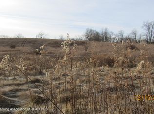 0 Larry Ln, Charlotte, MI 48813