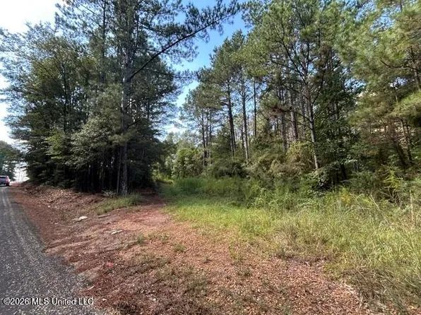 Irene Rd, Summit, MS 39666