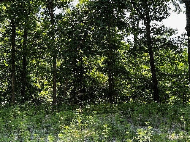 1st image of LOT 6 Southborough Ln