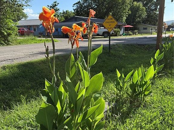 3rd image of 201 Mills Ave