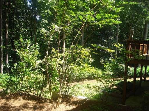 1st image of 230 Nestor Ct