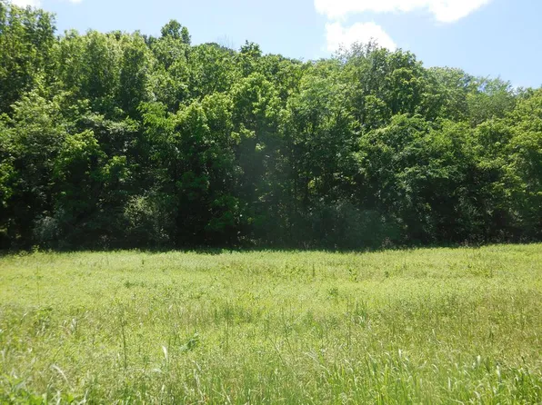 0 Hopkins Ln, Gainesboro, TN 38562