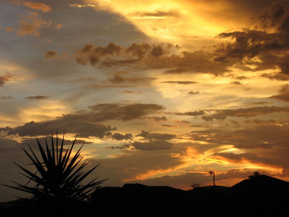 sunset 