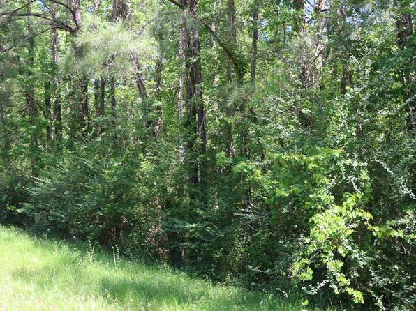 13199 State Highway 87 N, Burkeville, TX 75932