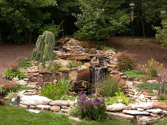 Pond