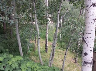 2841 Basingdale Blvd, Vail, CO 81657