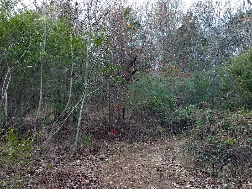 2nd image of 13 Forest Home Dr