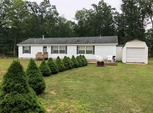 11682 Midget Lake Dr, Irons, MI 49644