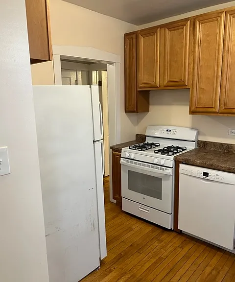 1510 W Rosemont Ave #3N — Photo 6