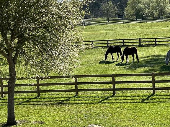 5th image of 50386 Turnpike Rd