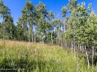 52 W Forest Dr, Star Valley Ranch, WY 83127