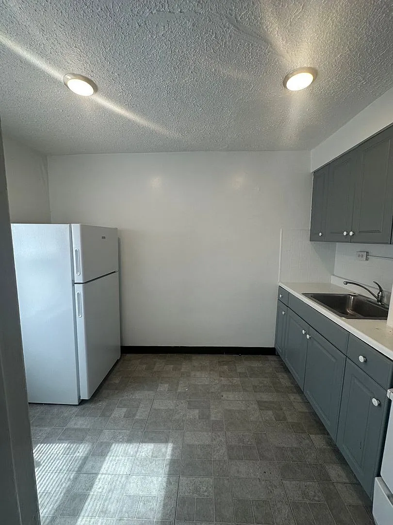 525 N. Adams (Bushwood Properties LLC) — Photo 2