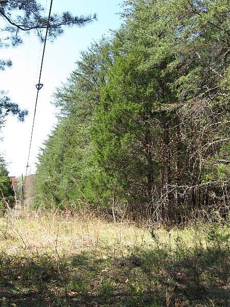 Property Borders Buck Island Road