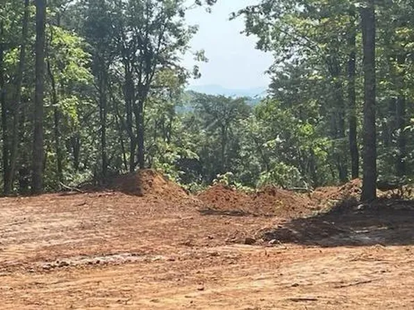 1471 Hannah Dr NE, Ranger, GA 30734