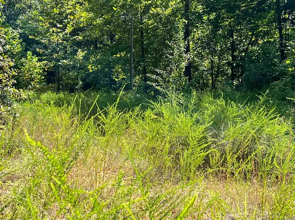 528 Black Oak Rd, Mammoth Spring, AR 72554