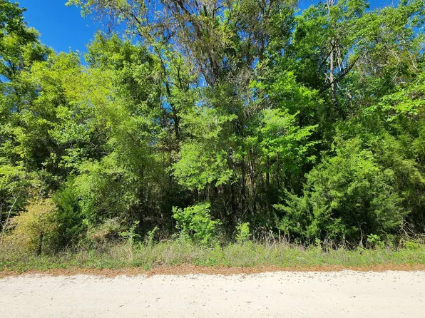 Tbd Sw Quarry Cir, Fort White, FL 32038