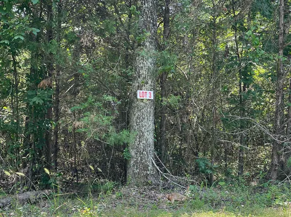 3 Pleasant Ridge Rd, Higden, AR 72067