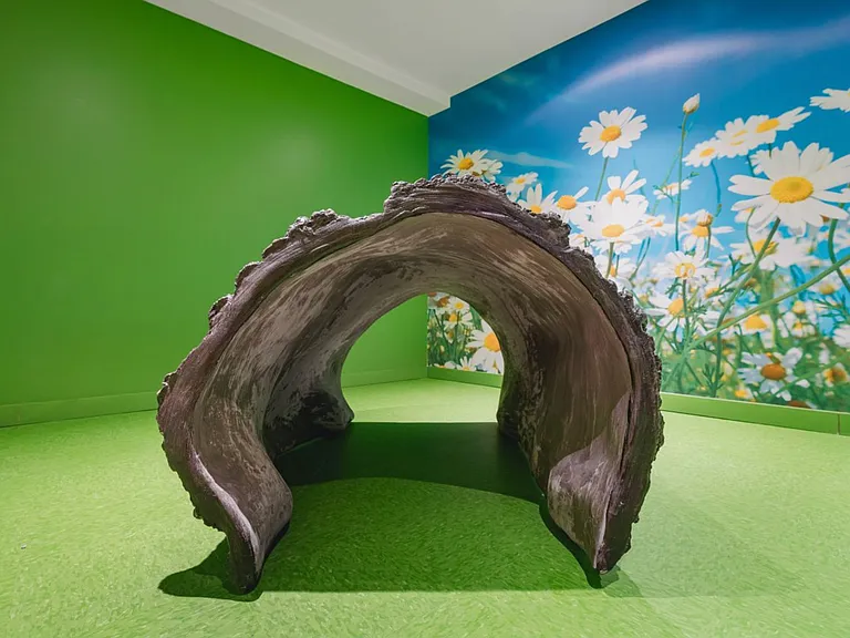 Arc House — Photo 26
