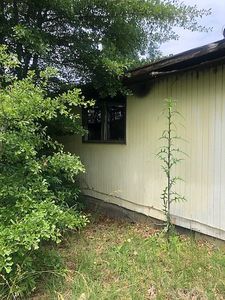 4621 Pinedale Dr, Macon, GA, 31206