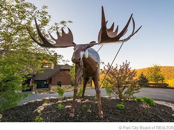 Mr. Moose is not included
