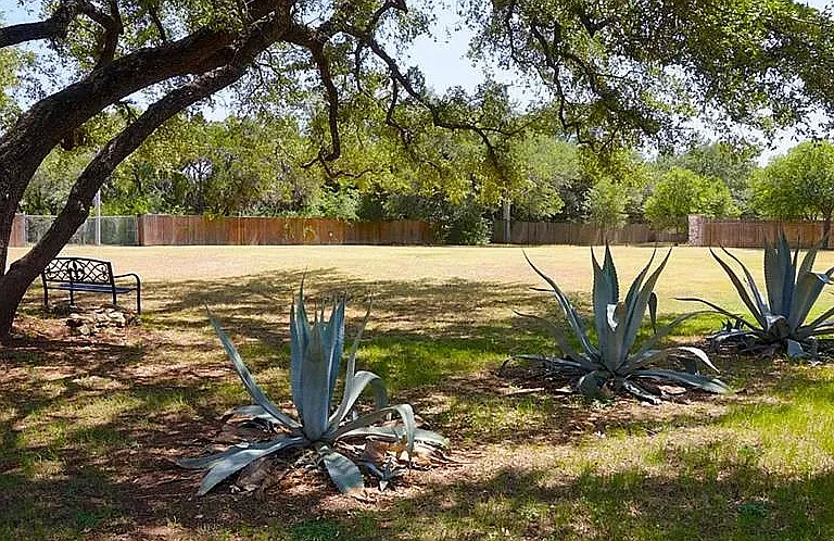 14815 Avery Ranch Blvd #1202 — Photo 28