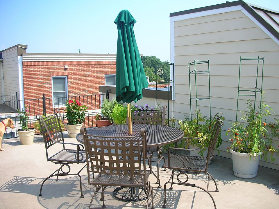 Rooftop Deck - NE View