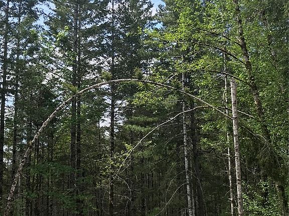 2nd image of 18 NE Tahuya Valley Dr