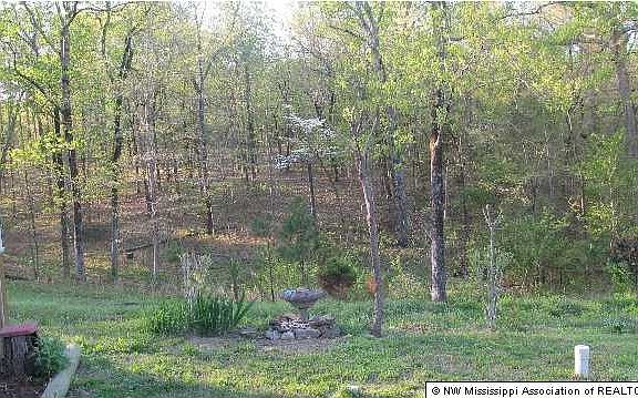 5th image of 2771 Sardis Lake Dr