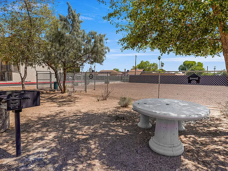 Sonoran Palms — Photo 8