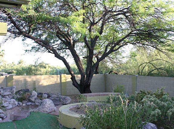backyard with tree shading spa area