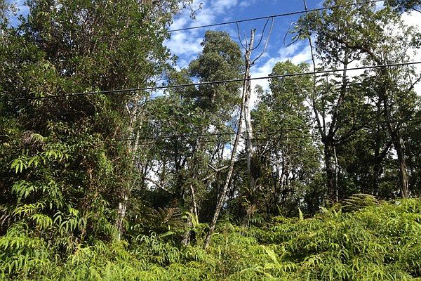 2nd image of Road 7 Opeapea Lot 4756