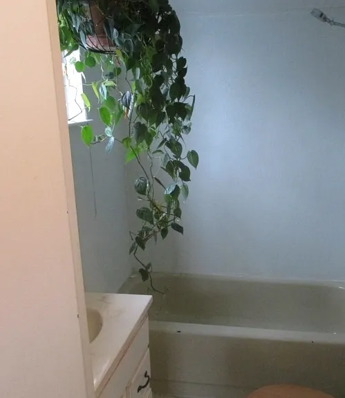 2514 1/2 N Humboldt St #1/2 — Photo 5