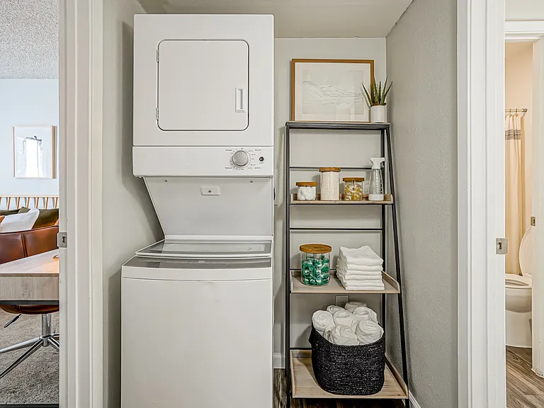 In-Unit Washer & Dryer - Platinum Interior