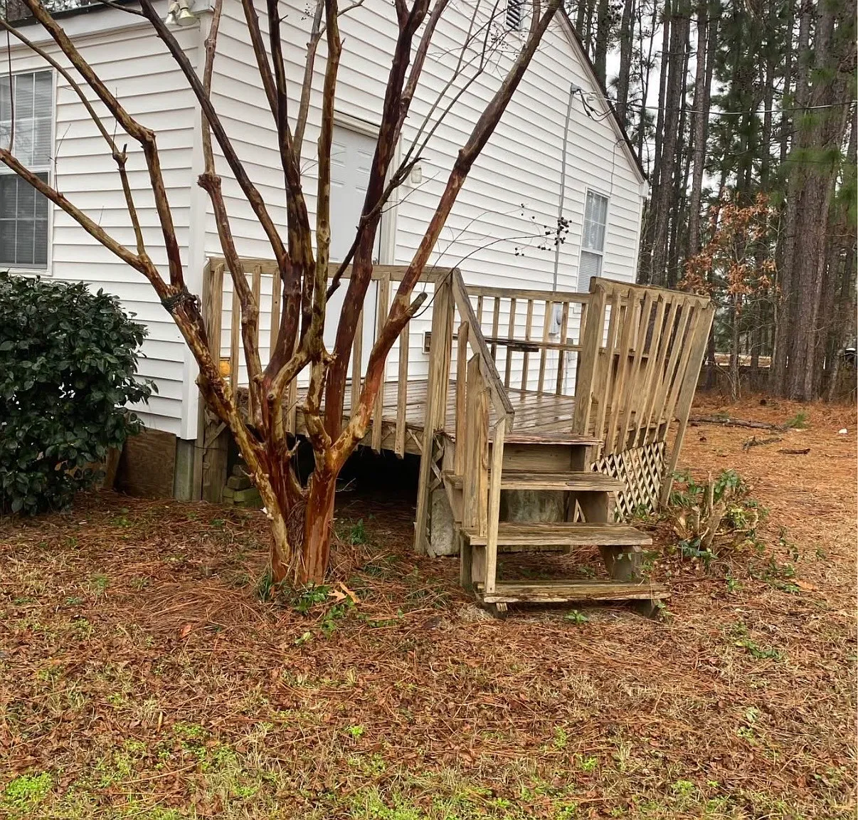 2 bed, 730 sqft, $1,000 — Photo 2