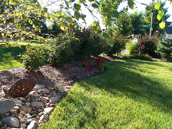 Backyard Berm 