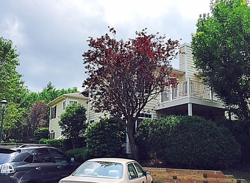 1st image of 74 Wescott Rd