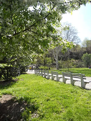 Rented by Willie Kathryn Suggs, LREB | media 50