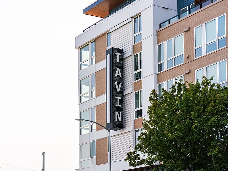Tavin — Photo 48
