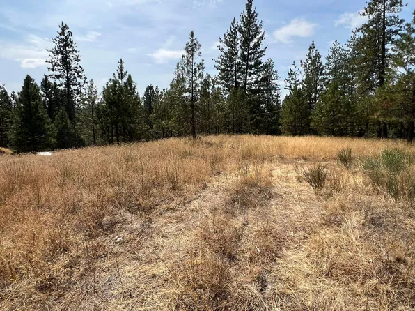 7763 Chamokane St, Ford, WA 99013